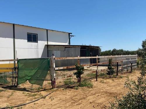 imagen 3 de Venta de finca con naves y vivienda Utrera