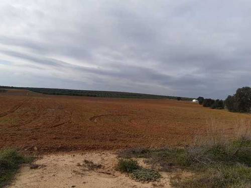 imagen 1 de Venta de finca rústica en Aznalcazar