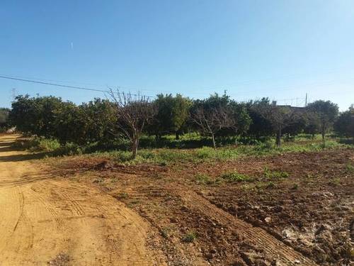 imagen 3 de Venta de finca con caserío y explotación ganadera