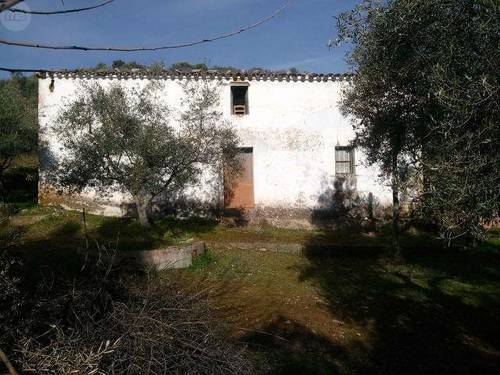 imagen 1 de Venta de olivar con cortijo a restaurar