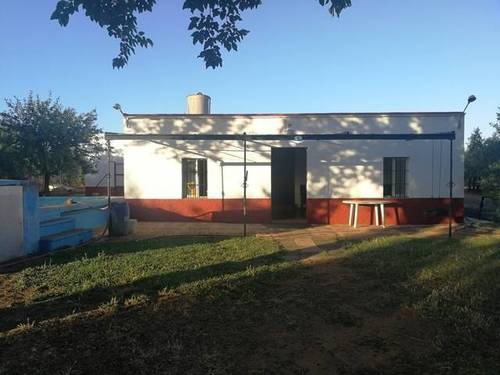imagen 1 de Venta de finca de olivos con vivienda en Carmona