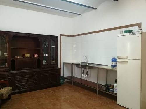imagen 3 de Venta de finca de olivos con vivienda en Carmona