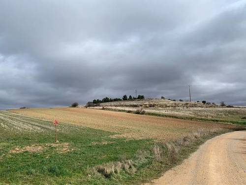 imagen 1 de Venta de finca rústica en Almazán