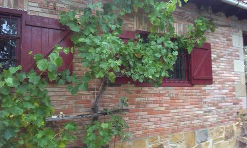 imagen 1 de Venta de bonita finca con refugio en Soria