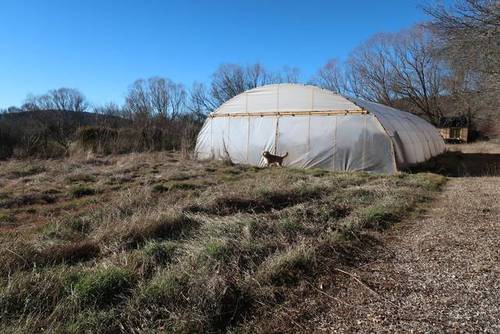 imagen 3 de Venta de terreno en El Royo (Soria)