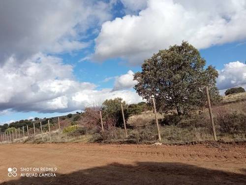 imagen 1 de Venta de parcela con proyecto para nave ganadera en Golmayo
