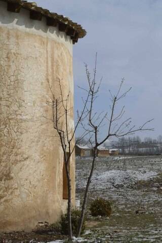 imagen 3 de Venta de terreno con bodega y palomar en Piquera de San Esteban