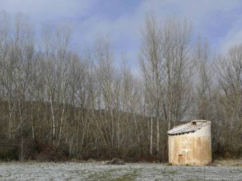 imagen 4 de Venta de terreno con bodega y palomar en Piquera de San Esteban