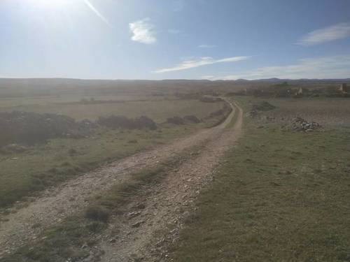 imagen 1 de Venta de impresionante finca en Pozuelo (Soria)