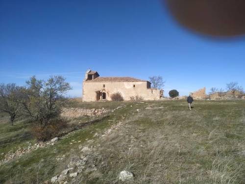 imagen 1 de Venta de impresionante finca en Pozuelo (Soria)
