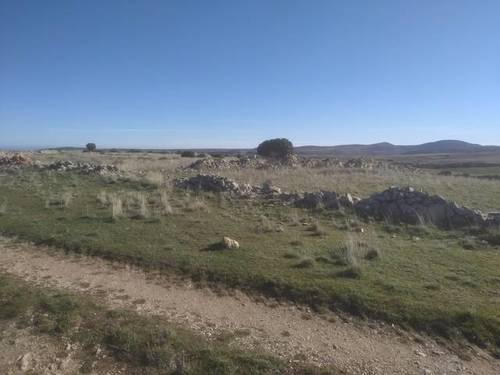 imagen 2 de Venta de impresionante finca en Pozuelo (Soria)