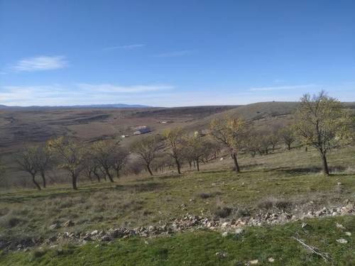 imagen 3 de Venta de impresionante finca en Pozuelo (Soria)