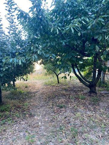 imagen 1 de Venta de finca con dos viviendas en Ólvega