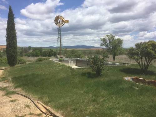imagen 3 de Venta de finca con vivienda en Fuentepinilla (Soria)