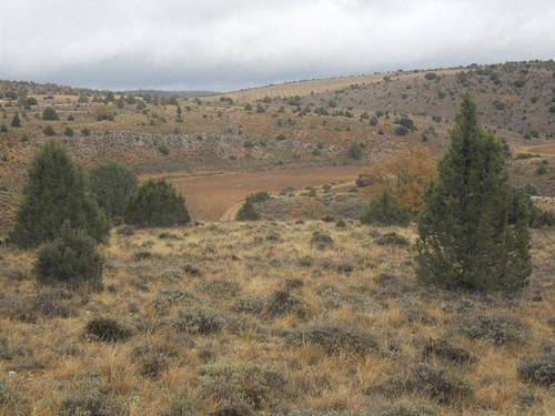 imagen 1 de Venta de finca en entorno rural en Arcos de Jalón