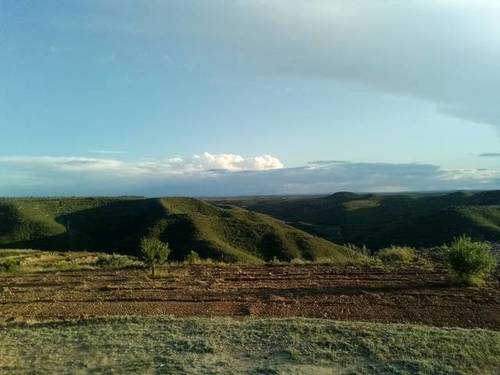 imagen 1 de Venta de finca en La Pobla de Massaluca