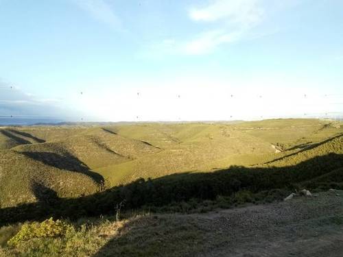imagen 2 de Venta de finca en La Pobla de Massaluca