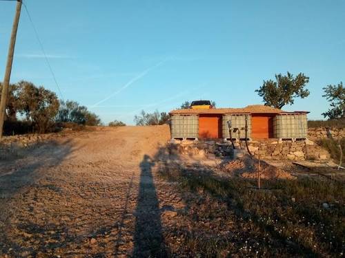 imagen 4 de Venta de finca de regadío en La Pobla de Massaluca