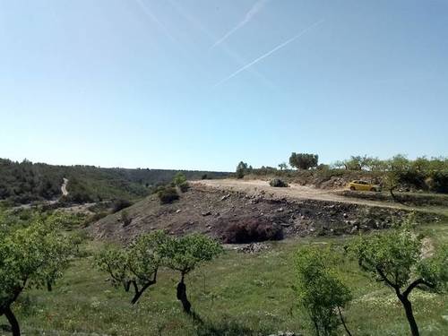 imagen 2 de Venta de finca de regadío en La Pobla de Massaluca