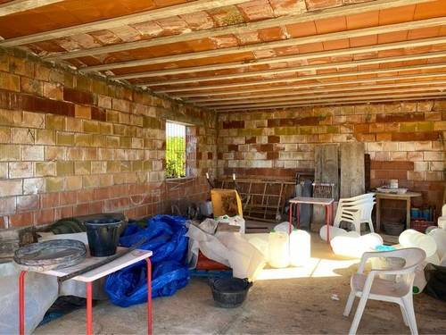 imagen 2 de Venta de finca de olivos en Alcanar (Tarragona)