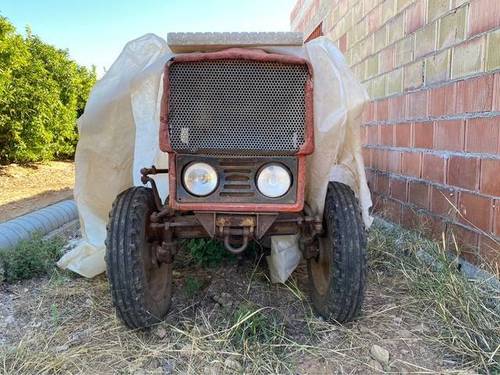 imagen 3 de Venta de finca de olivos en Alcanar (Tarragona)