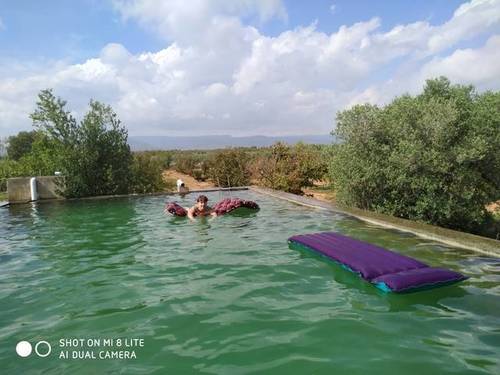 imagen 1 de Venta de finca con avellanos y merendero en Constanti