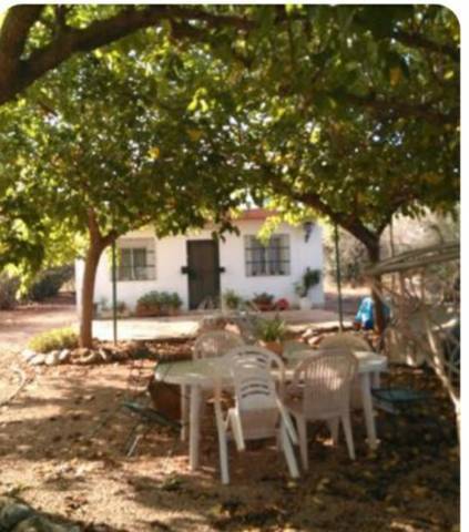 imagen 2 de Venta de finca con avellanos y merendero en Constanti