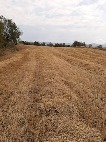 imagen 1 de Venta de finca con vivienda a restaurar en El Pla de Santa María