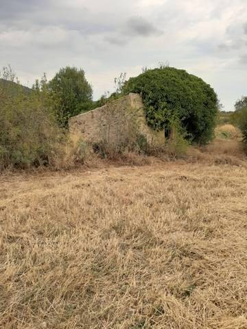 imagen 3 de Venta de finca con vivienda a restaurar en El Pla de Santa María