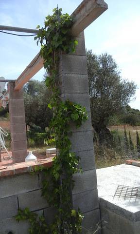 imagen 1 de Venta de finca de recreo a pie de carretera Mora d´Ebre