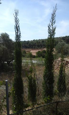 imagen 2 de Venta de finca de recreo a pie de carretera Mora d´Ebre