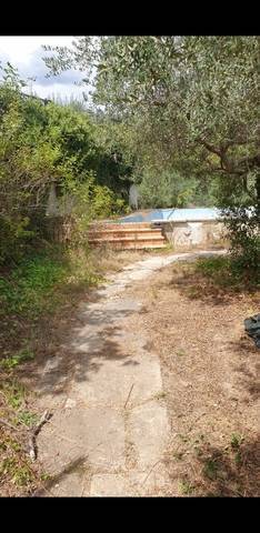 imagen 2 de Venta de finca rústica de olivos con construcción en Alcover