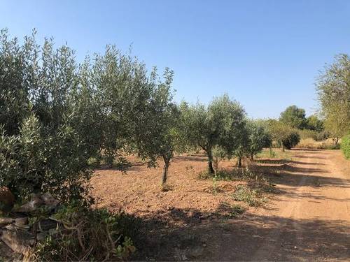 imagen 1 de Venta de finca con vivienda