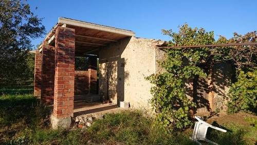 imagen 1 de Venta de finca con olivos y almendros en Montbrio del Camp