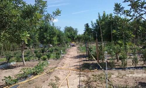 imagen 2 de Venta de finca rústica en Salou