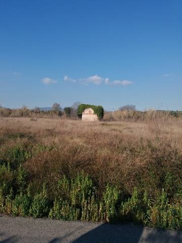 imagen 1 de Venta de finca rústica en el Rourell