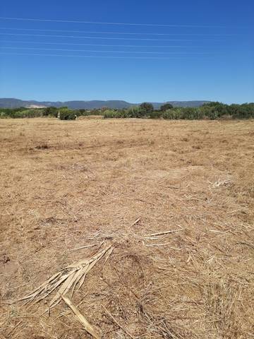imagen 1 de Venta de finca rústica en el Rourell