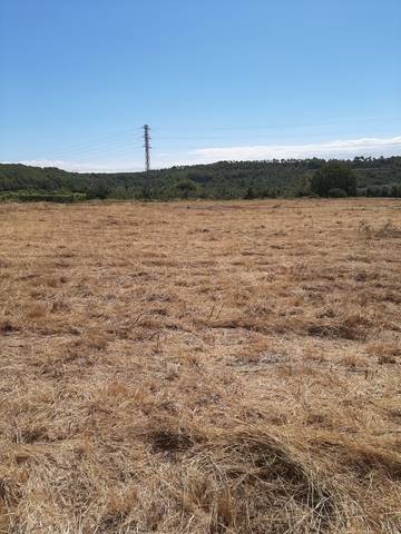 imagen 2 de Venta de finca rústica en el Rourell