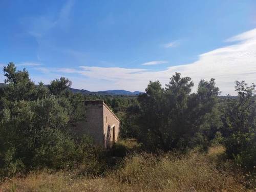imagen 1 de Venta de finca con pequeña vivienda a reformar en L´Ampolla (Tarragona)