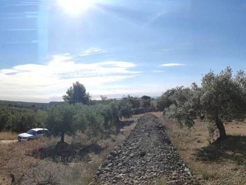 imagen 1 de Venta de finca con pequeña vivienda a reformar en L´Ampolla (Tarragona)