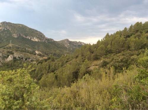 imagen 1 de Venta de finca especial en Cambrils (Tarragona)
