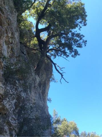 imagen 3 de Venta de finca especial en Cambrils (Tarragona)