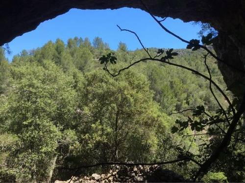 imagen 4 de Venta de finca especial en Cambrils (Tarragona)