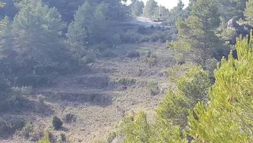 imagen 1 de Venta de finca de recreo en Falset