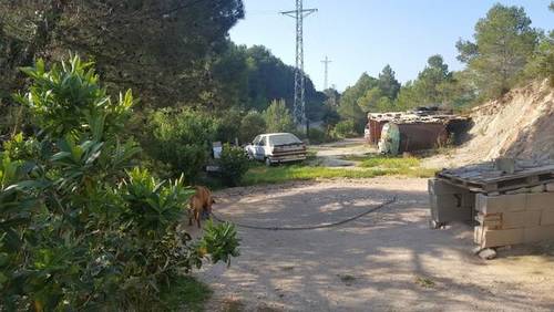 imagen 4 de Venta de finca de recreo en Falset