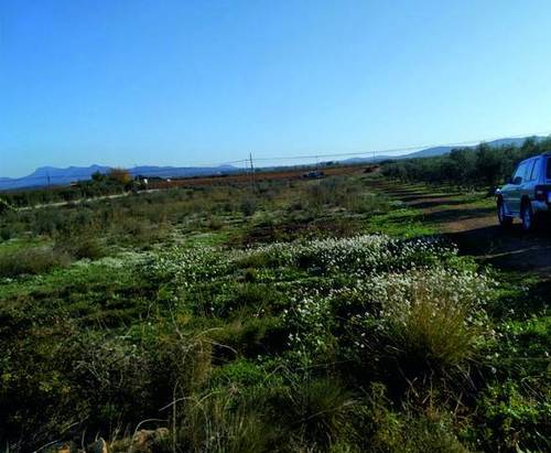 imagen 1 de Venta de finca en Brafim (Tarragona)