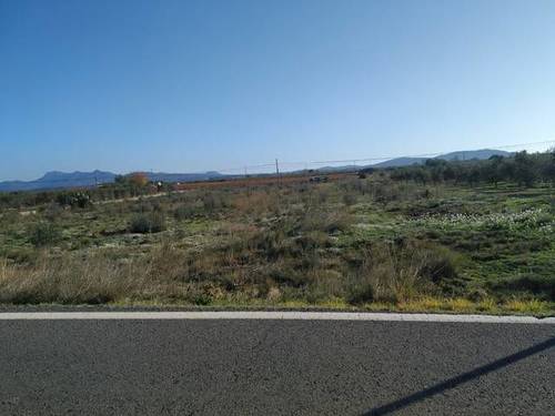 imagen 2 de Venta de finca en Brafim (Tarragona)