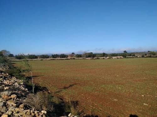imagen 1 de Venta de finca en Alio (Tarragona)