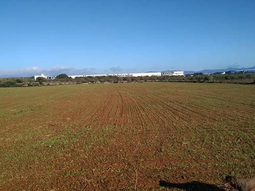 imagen 1 de Venta de finca en Alio (Tarragona)