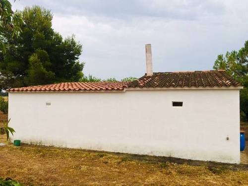imagen 6 de Venta de finca de almendros con vivienda